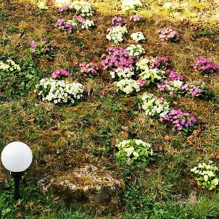 Clos Des Lys * Vittel