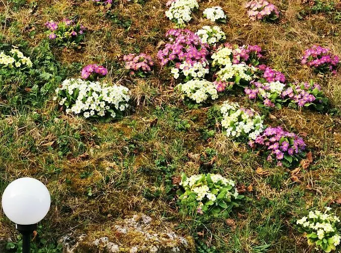 Clos Des Lys * Vittel